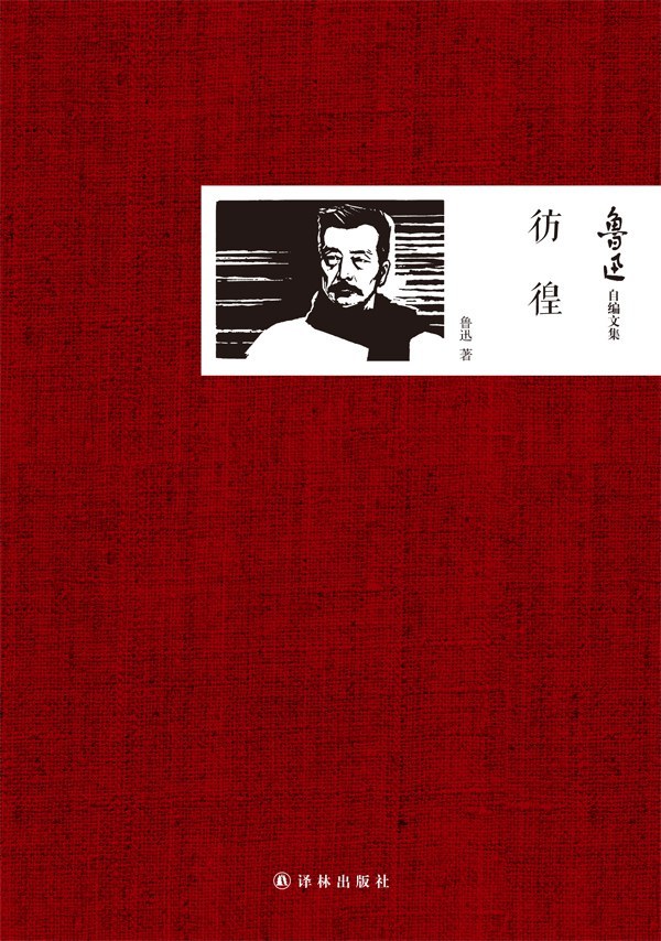《彷徨》小说下载封面