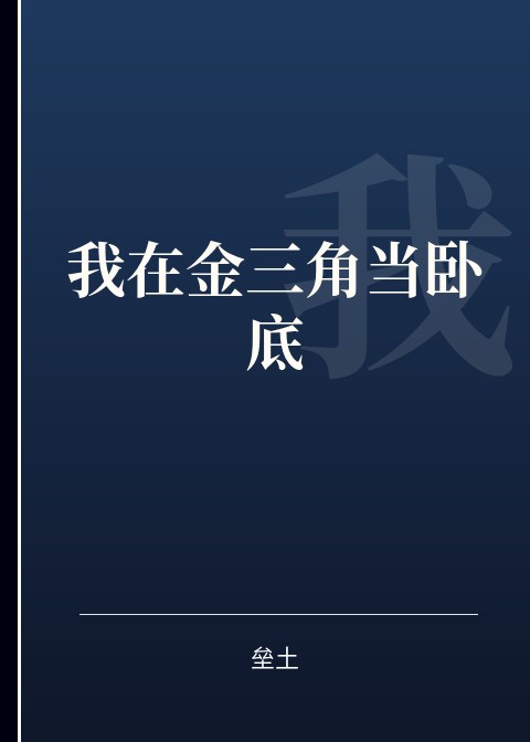 我在金三角当卧底小说下载