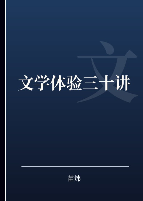 文学体验三十讲小说下载