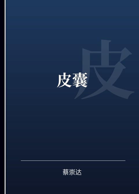 皮囊小说下载