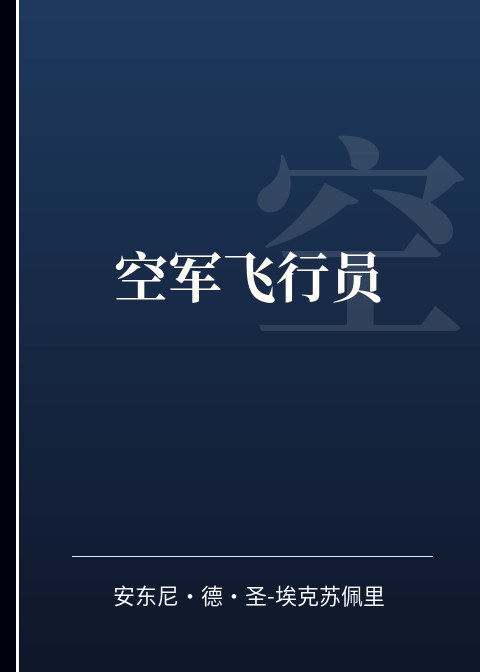 空军飞行员小说下载